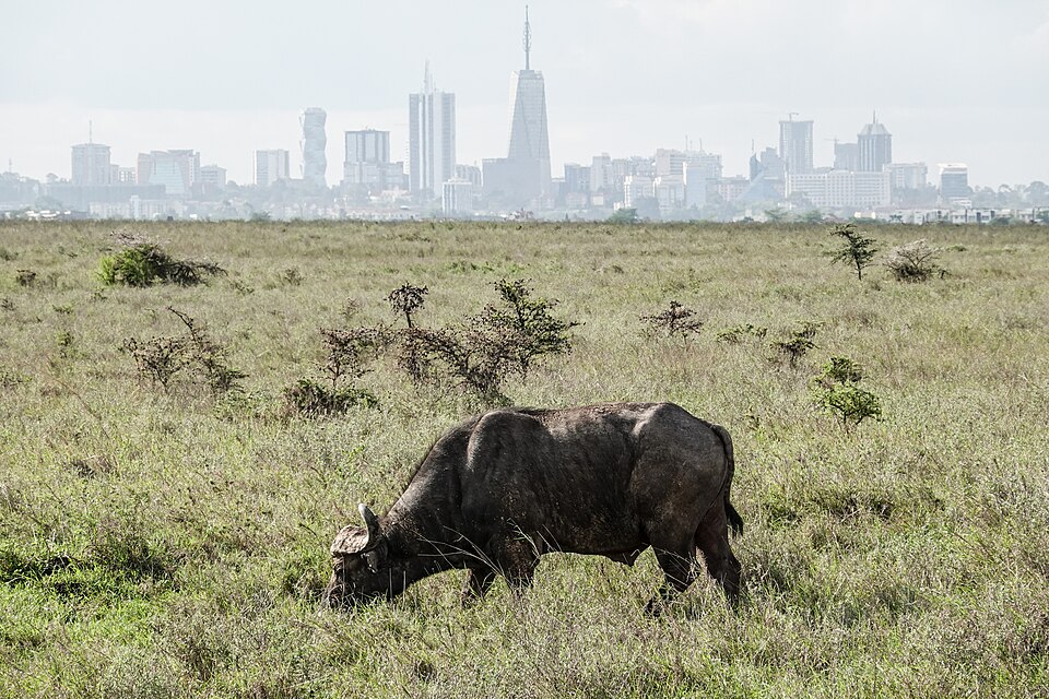 Nairobi, Kenya